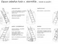 equus_cabalus_hyla.jpg